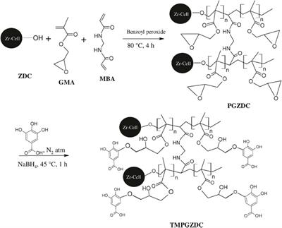 Multifunctional Cellulose and Cellulose-Based (Nano) Composite Adsorbents